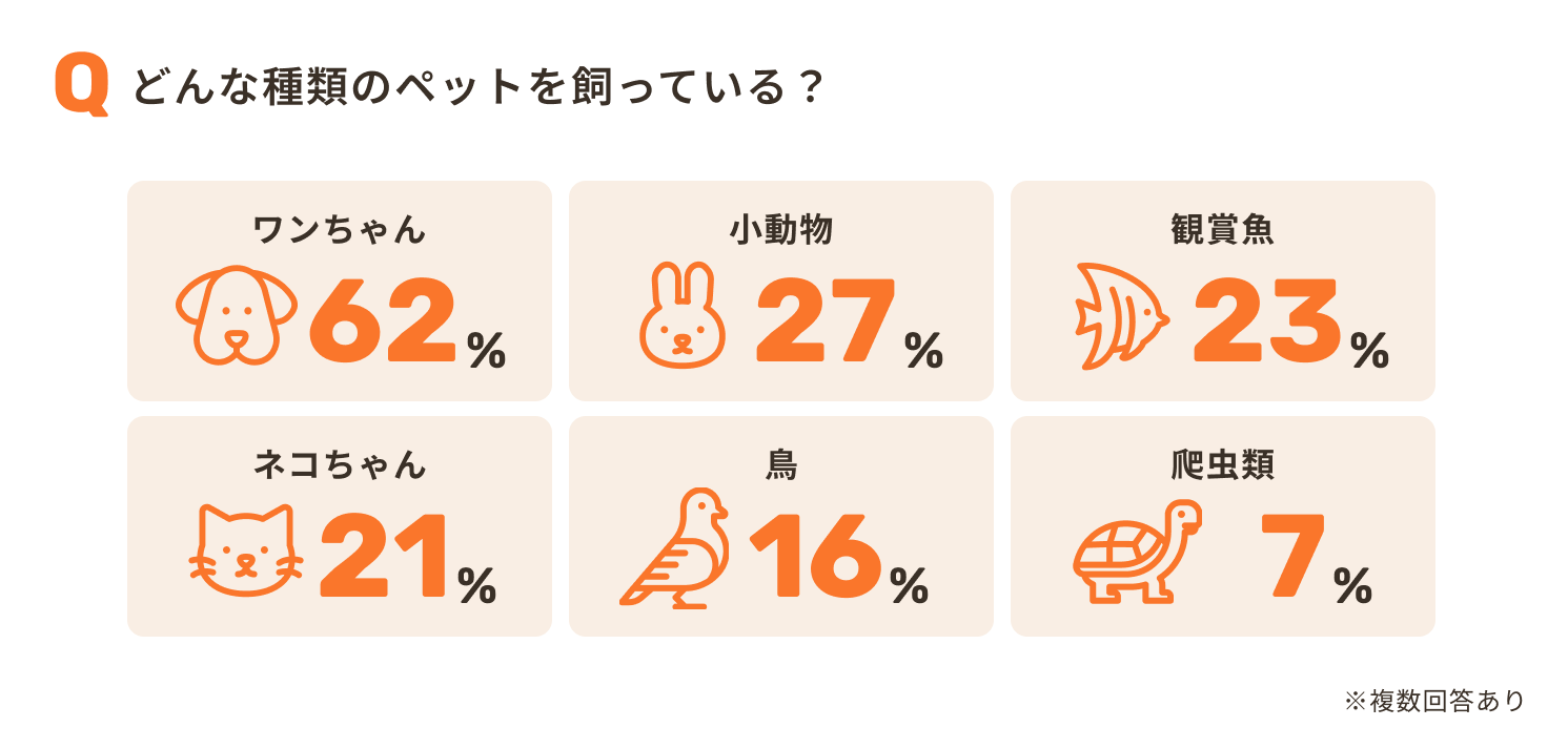 飼っているペットの種類（複数回答）。犬62%、小動物27%、観賞魚23%、猫21%、鳥16%、爬虫類7%。